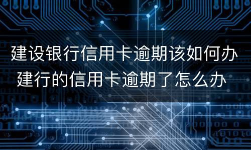 建设银行信用卡逾期该如何办 建行的信用卡逾期了怎么办