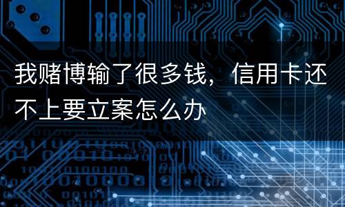 我赌博输了很多钱，信用卡还不上要立案怎么办