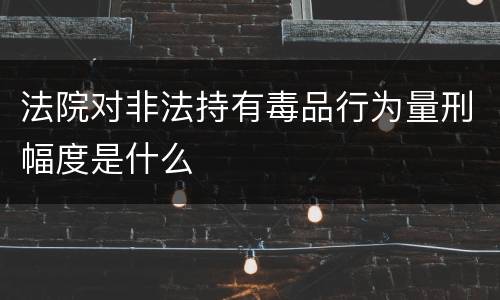 法院对非法持有毒品行为量刑幅度是什么