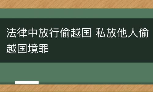 法律中放行偷越国 私放他人偷越国境罪