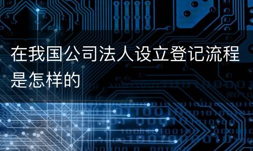 在我国公司法人设立登记流程是怎样的