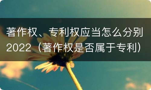 著作权、专利权应当怎么分别2022（著作权是否属于专利）