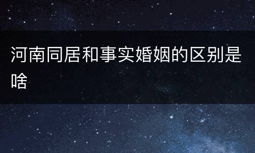 河南同居和事实婚姻的区别是啥