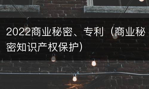 2022商业秘密、专利（商业秘密知识产权保护）