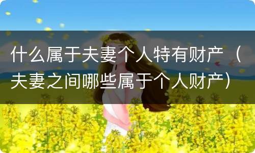 什么属于夫妻个人特有财产（夫妻之间哪些属于个人财产）