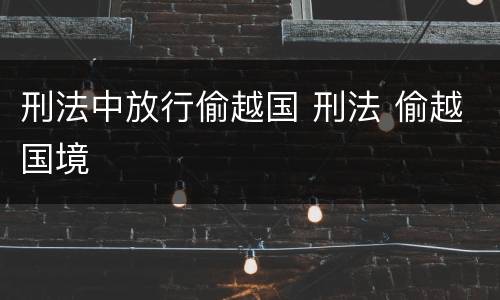 刑法中放行偷越国 刑法 偷越国境