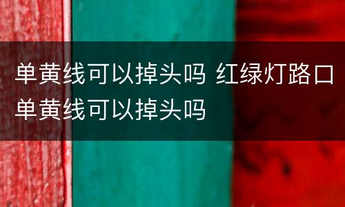 单黄线可以掉头吗 红绿灯路口单黄线可以掉头吗