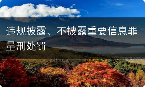 违规披露、不披露重要信息罪量刑处罚