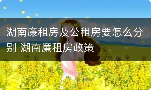 湖南廉租房及公租房要怎么分别 湖南廉租房政策