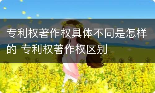 专利权著作权具体不同是怎样的 专利权著作权区别