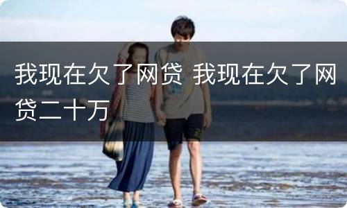 我现在欠了网贷 我现在欠了网贷二十万