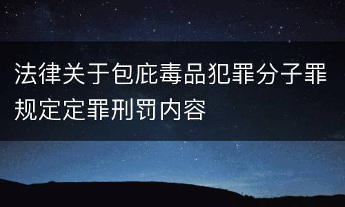 法律关于包庇毒品犯罪分子罪规定定罪刑罚内容