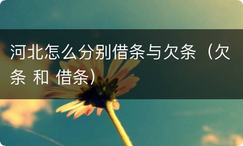 河北怎么分别借条与欠条（欠条 和 借条）