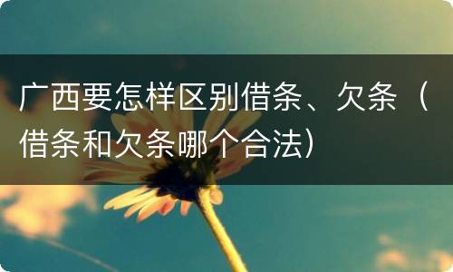 广西要怎样区别借条、欠条（借条和欠条哪个合法）