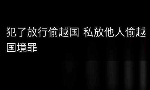 犯了放行偷越国 私放他人偷越国境罪