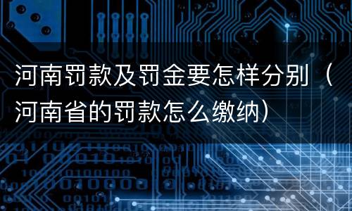 河南罚款及罚金要怎样分别（河南省的罚款怎么缴纳）