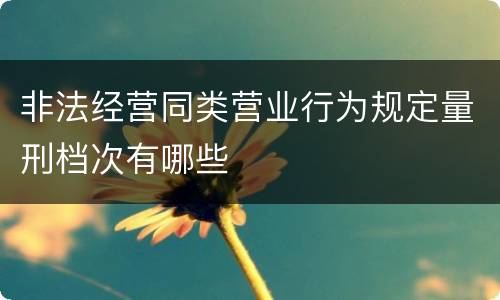 非法经营同类营业行为规定量刑档次有哪些