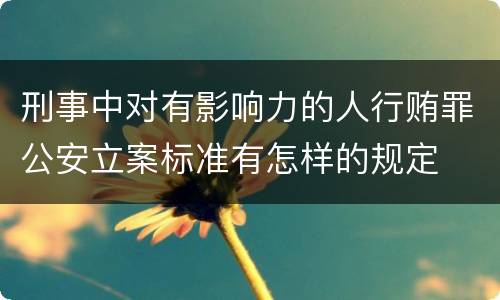 刑事中对有影响力的人行贿罪公安立案标准有怎样的规定