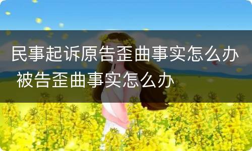 民事起诉原告歪曲事实怎么办 被告歪曲事实怎么办