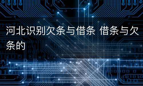 河北识别欠条与借条 借条与欠条的