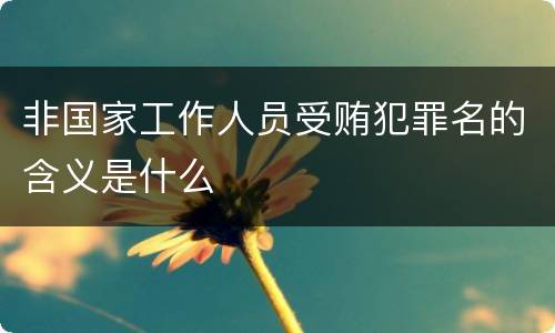 非国家工作人员受贿犯罪名的含义是什么