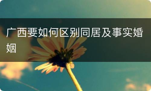 广西要如何区别同居及事实婚姻