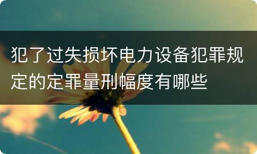 犯了过失损坏电力设备犯罪规定的定罪量刑幅度有哪些