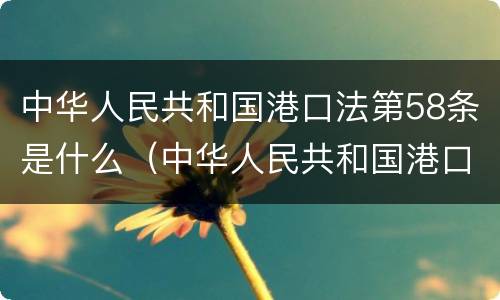 中华人民共和国港口法第58条是什么（中华人民共和国港口法第58条是什么规定）