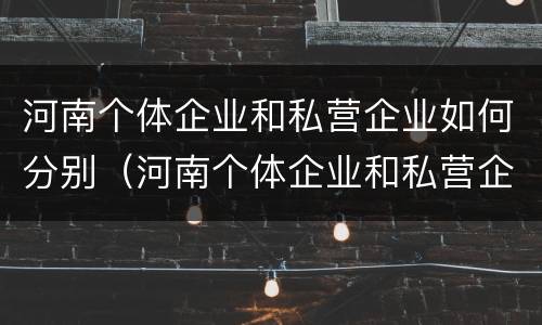 河南个体企业和私营企业如何分别（河南个体企业和私营企业如何分别交税）