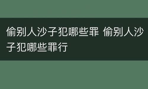 偷别人沙子犯哪些罪 偷别人沙子犯哪些罪行