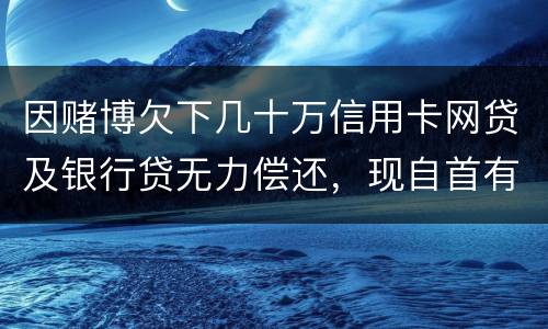 因赌博欠下几十万信用卡网贷及银行贷无力偿还，现自首有什么后果