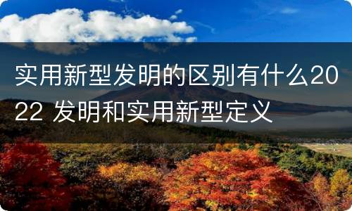 实用新型发明的区别有什么2022 发明和实用新型定义
