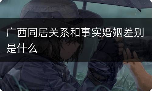 广西同居关系和事实婚姻差别是什么