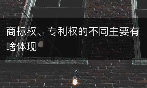 商标权、专利权的不同主要有啥体现