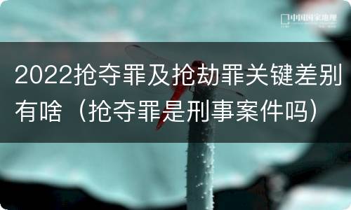 2022抢夺罪及抢劫罪关键差别有啥（抢夺罪是刑事案件吗）