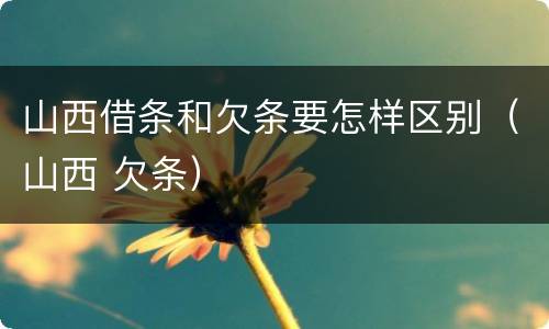 山西借条和欠条要怎样区别（山西 欠条）