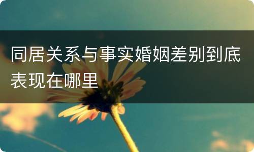 同居关系与事实婚姻差别到底表现在哪里