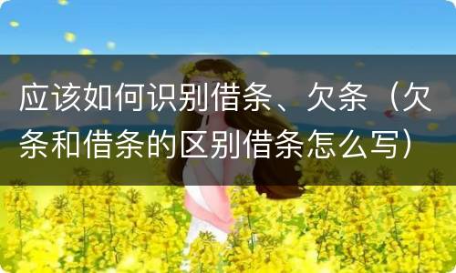 应该如何识别借条、欠条（欠条和借条的区别借条怎么写）