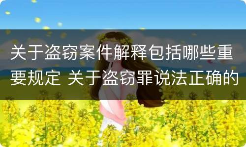 关于盗窃案件解释包括哪些重要规定 关于盗窃罪说法正确的是