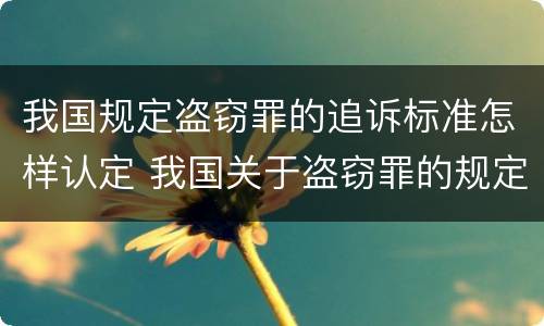 我国规定盗窃罪的追诉标准怎样认定 我国关于盗窃罪的规定