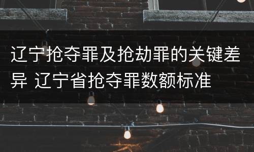 辽宁抢夺罪及抢劫罪的关键差异 辽宁省抢夺罪数额标准
