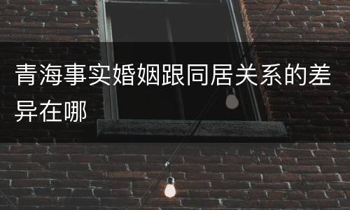 青海事实婚姻跟同居关系的差异在哪