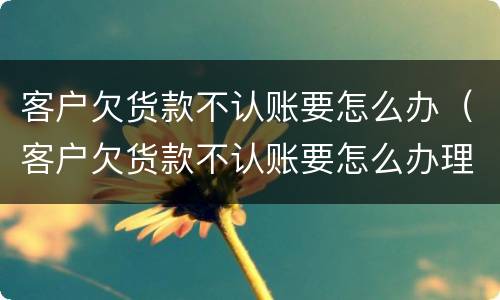 客户欠货款不认账要怎么办（客户欠货款不认账要怎么办理）