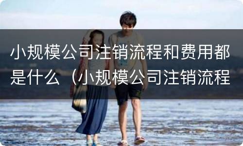 小规模公司注销流程和费用都是什么（小规模公司注销流程和费用都是什么意思）