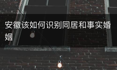 安徽该如何识别同居和事实婚姻