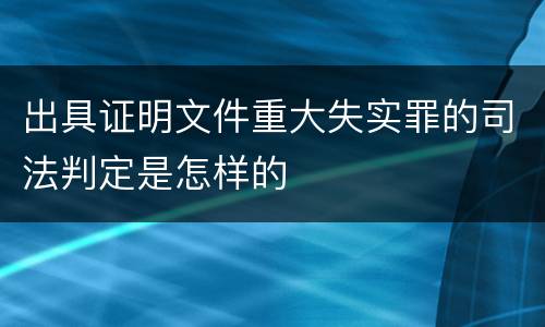 出具证明文件重大失实罪的司法判定是怎样的
