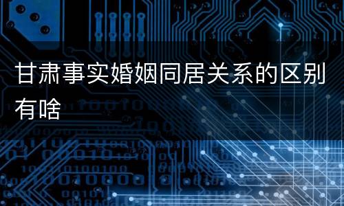 甘肃事实婚姻同居关系的区别有啥