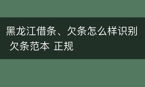 黑龙江借条、欠条怎么样识别 欠条范本 正规