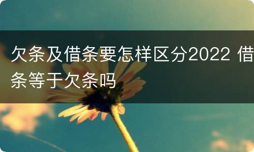 欠条及借条要怎样区分2022 借条等于欠条吗
