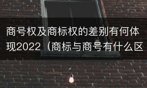 商号权及商标权的差别有何体现2022（商标与商号有什么区别）